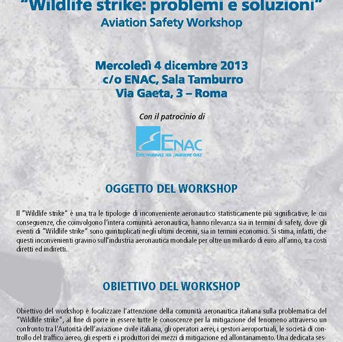 Wildlife strike 2013