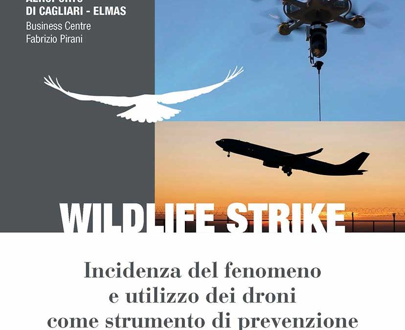 Wildlife strike 2018